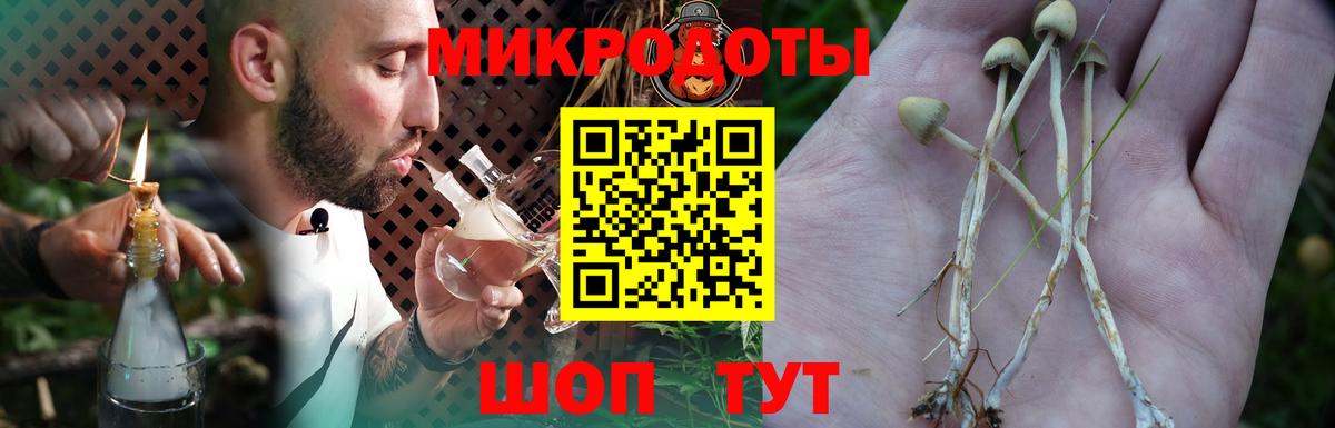 Десногорск  Псилоцибиновые грибы прущие грибы  Галлюциногенные грибы Magic Shrooms  Вход с VPN 